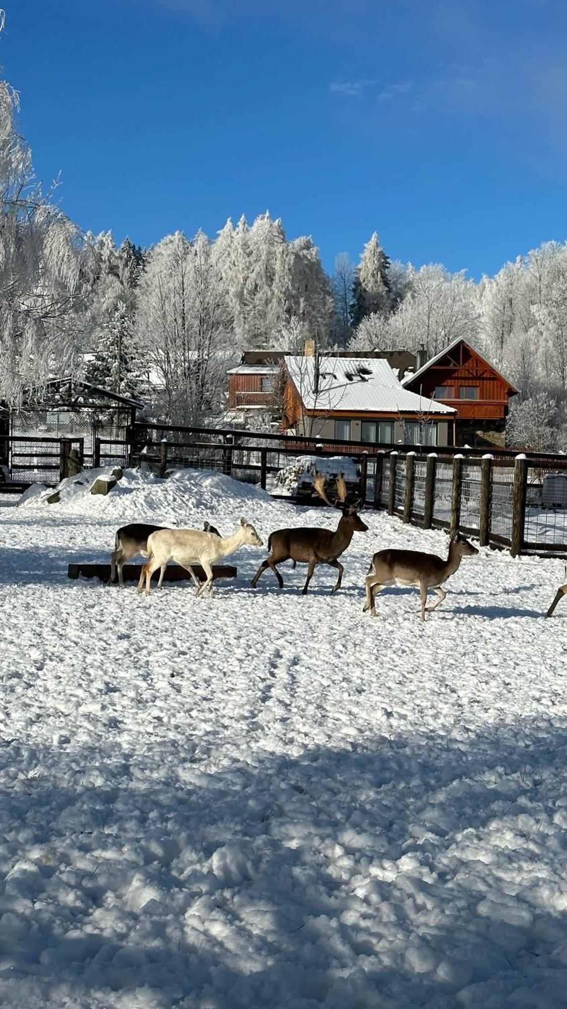 Farma Frantisek Hotell Stachy Exteriör bild