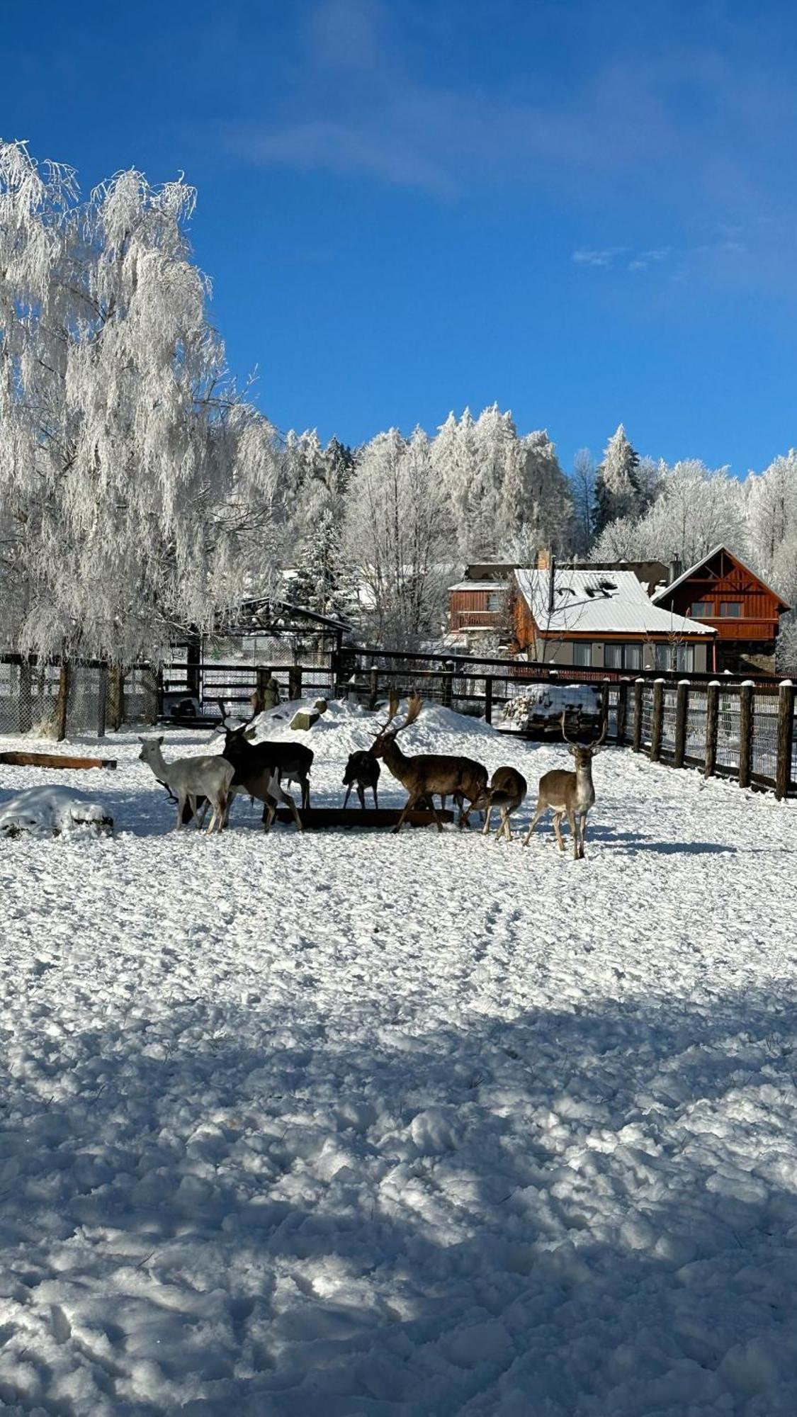 Farma Frantisek Hotell Stachy Exteriör bild