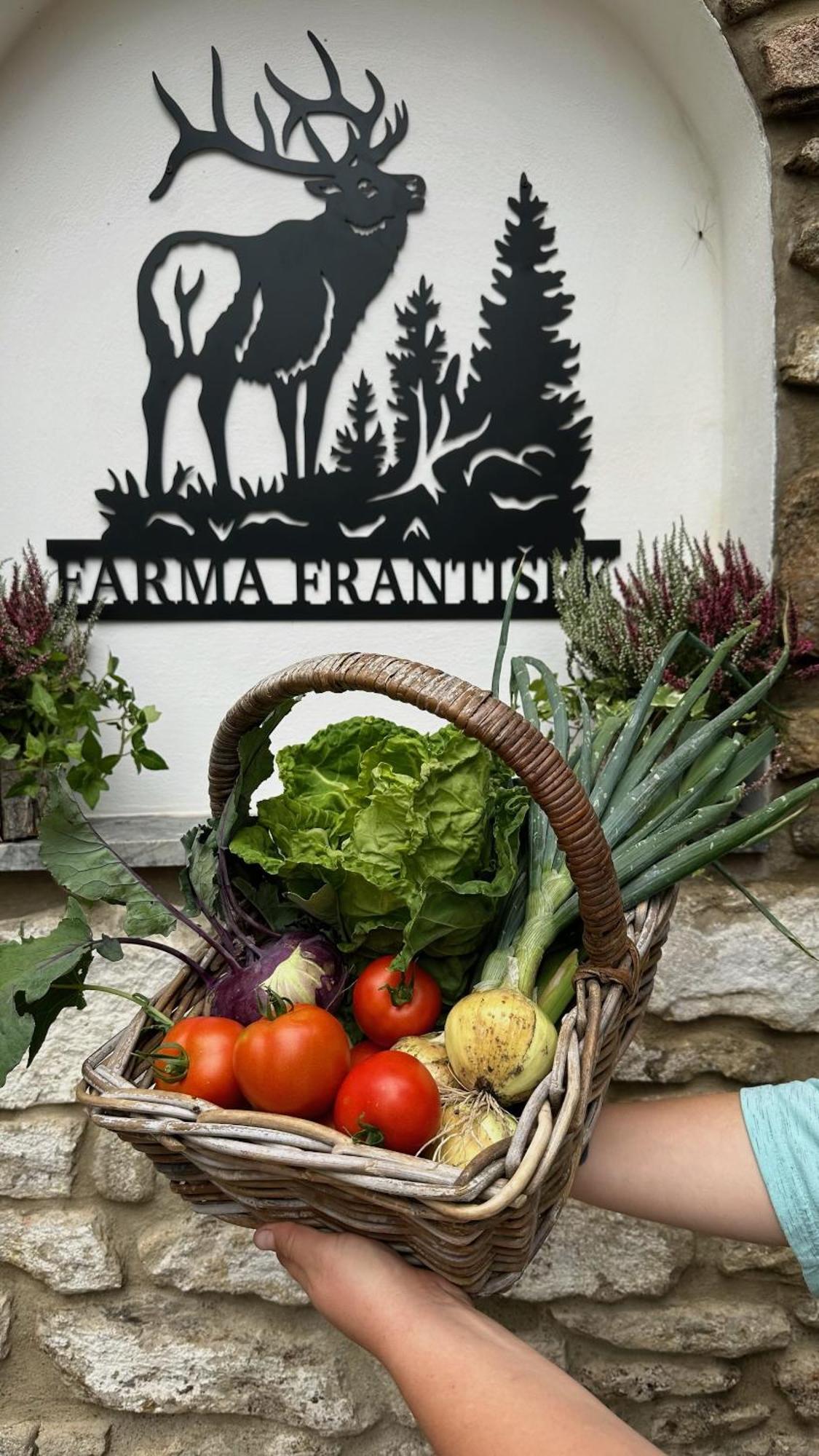 Farma Frantisek Hotell Stachy Exteriör bild